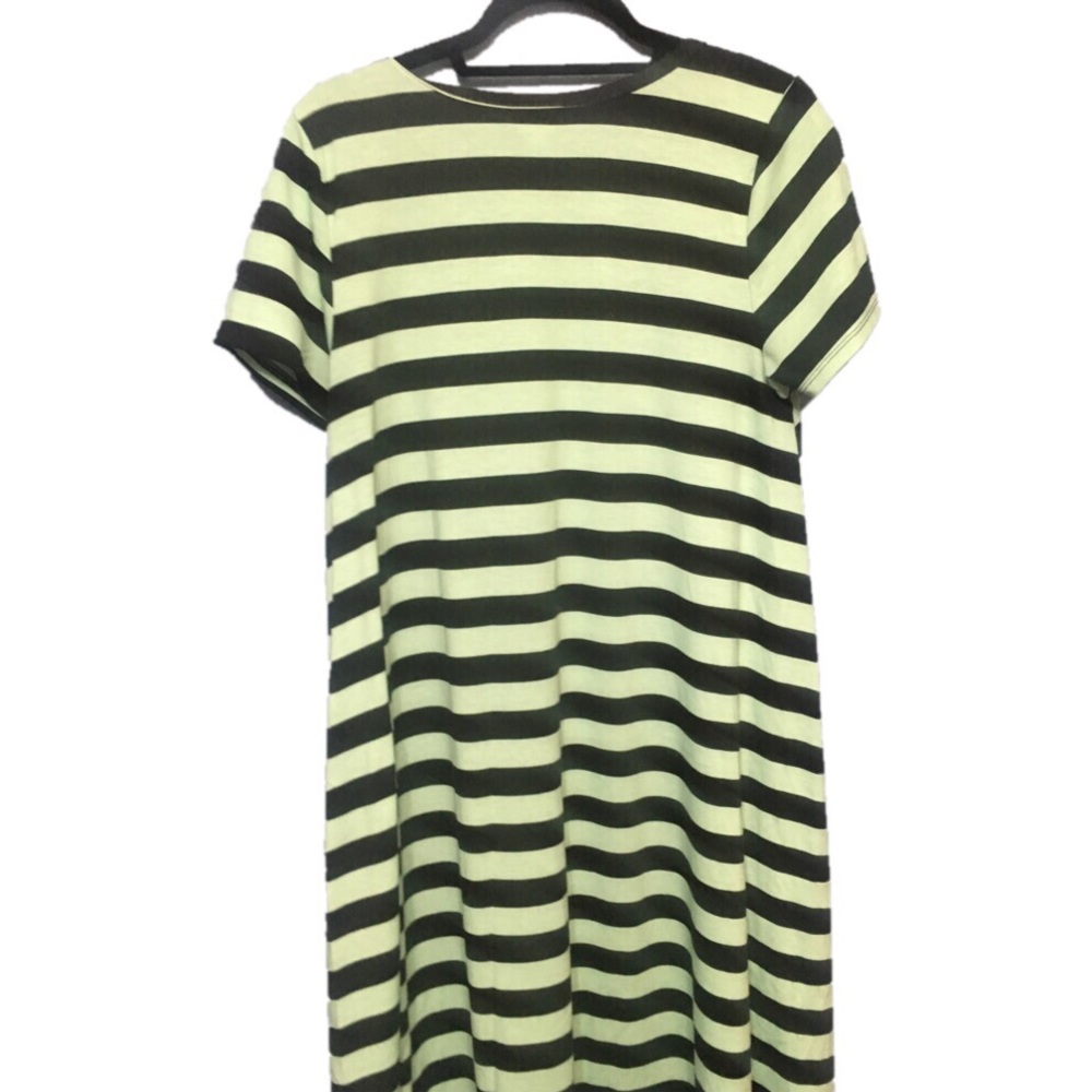 Lularoe Carly Dress - Mint with Black Stripes